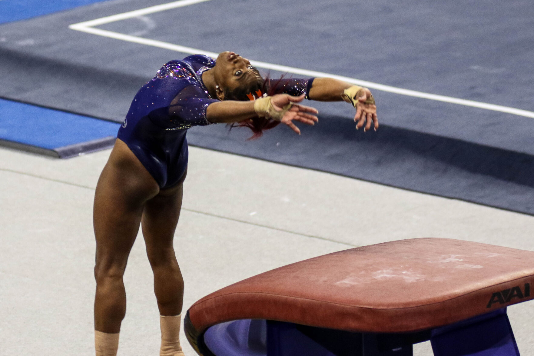 Auburn vs. Georiga gymnastics